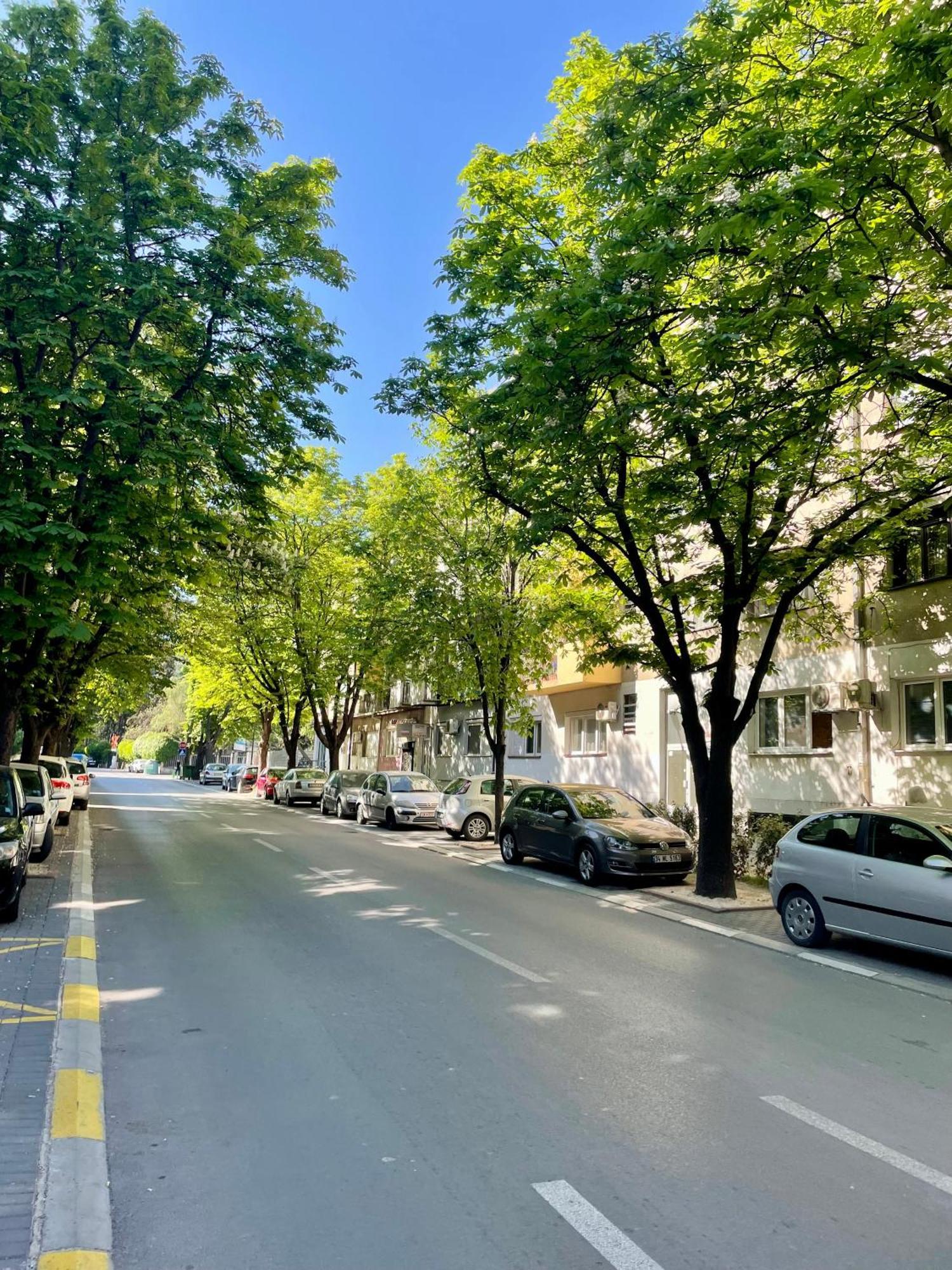 Luxury City Center Apartment Skopje Eksteriør billede